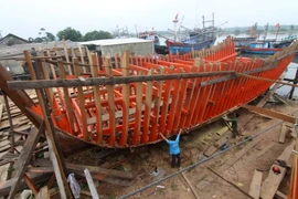 Ảnh minh họa. (Nguồn: TTXVN)