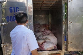 Cơ quan chức năng Bình Dương phát hiện gần 5 tấn thịt lợn bốc mùi hôi thối đang được vận chuyển đi tiêu thụ. (Ảnh: Dương Chí Tưởng/TTXVN)