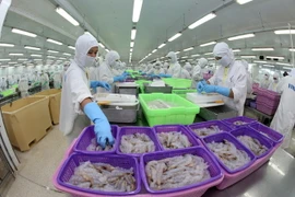 Chế biến sản phẩm tôm xuất khẩu tại Công ty Cổ phần Thực phẩm Sao Ta, Sóc Trăng. (Nguồn: Huy Hùng/TTXVN)