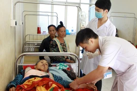 Ảnh minh họa. (Nguồn: Dương Ngọc/TTXVN)