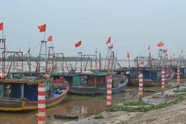 Tàu thuyền của ngư dân về neo đậu tránh bão số 3 tại Khu neo đậu tàu thuyền xã Thái Đô, huyện Thái Thụy. (Ảnh: Thu Hoài/TTXVN)