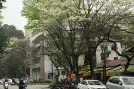 Bắc Bộ rét trong đêm 26/3, nhiệt độ thấp nhất từ 14-17 độ C