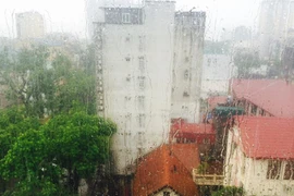 Ảnh minh họa. (Nguồn: Vietnam+)