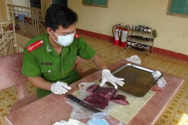 Lực lượng chức năng thử nghiệm loại hóa chất "hô biến" thịt bò thối thành thịt tươi tại cơ sở của bà Vân. (Ảnh: Đậu Tất Thành/TTXVN)