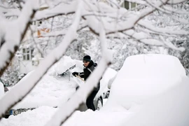 Ảnh minh họa. (Nguồn: AFP/TTXVN)