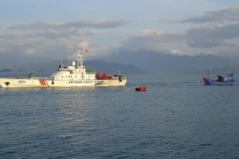 Ảnh minh họa. (Nguồn: TTXVN)