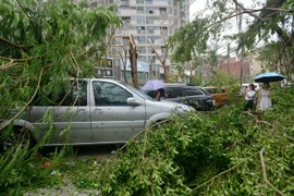 Cảnh đổ nát tại thành phố Hạ Môn, tỉnh Phúc Kiến sau khi bão Mertanti tràn qua. (Nguồn: AFP/TTXVN)
