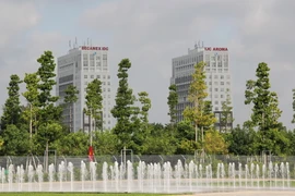 Cây dầu được trồng tại công trình đô thị, tạo nên lá phổi xanh cho thành phố mới Bình Dương. (Ảnh: Dương Chí Tưởng/TTXVN)