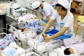 (Ảnh: Dương Ngọc/TTXVN)