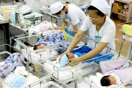(Ảnh: Dương Ngọc/TTXVN)