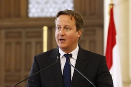 Thủ tướng Anh David Cameron. (Nguồn: AFP/TTXVN)