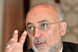 Giám đốc Tổ chức Năng lượng Nguyên tử Iran Ali Akbar Salehi. (Nguồn: Kyodo/TTXVN)