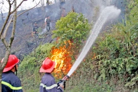 Ảnh minh họa. (Nguồn: TTXVN)