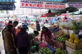 Các mặt hàng trái cây đắt khách. (Ảnh: Quốc Việt/Vietnam+)