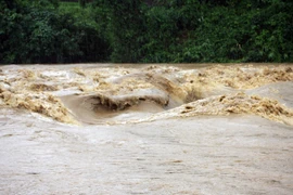 Ảnh minh họa. (Nguồn: Tạ Văn Toàn/TTXVN)