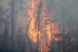 Cháy rừng ở Fort McMurray, Alberta ngày 6/5. (Nguồn: AFP/TTXVN)