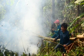 Các lực lượng khẩn trương dập lửa vụ cháy rừng Nà Tấu, Điện Biên. (Ảnh: Quốc Hùng/TTXVN)