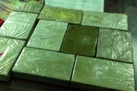 Ảnh chỉ có tính minh họa. (Nguồn: TTXVN)