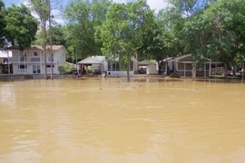 Mưa lớn gây ngập lụt tại Granbury, bang Texas ngày 4/6. (Nguồn: EPA/TTXVN)