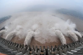 Ảnh minh họa. (Nguồn: AFP/TTXVN)