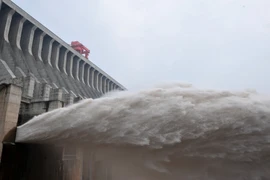 Ảnh minh họa. (Nguồn: THX/TTXVN)