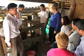 Đại Sứ Cáit Moran và đoàn công táchăm mô hình hỗ trợ chăn nuôi bò ở Cao nguyên đá Đồng Văn. (Ảnh: Duy Tuấn/TTXVN)