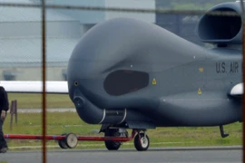 Một máy bay do thám không người lái Global Hawk của Mỹ. (Nguồn: AFP/TTXVN)