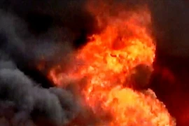 Ảnh minh họa. (Nguồn: TTXVN)