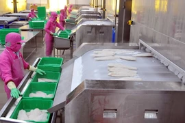 Dây chuyền chế biến cá tra đông lạnh tại Đồng Tháp. (Ảnh: An Hiếu/TTXVN)