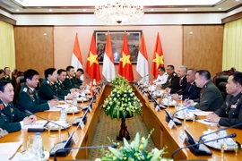 Toàn cảnh cuộc hội đàm. (Ảnh: An Đăng/TTXVN)