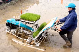 Thử nghiệm máy cấy lúa Kubota SPW-48C. (Ảnh: Đình Huệ/TTXVN)