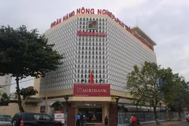 Bắt Trưởng phòng Tín dụng Agribank Cần Thơ vì tiếp tay lừa đảo