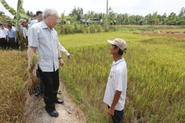 Tổng Bí thư Nguyễn Phú Trọng thăm hỏi nông dân trên cánh đồng lúa bị xâm nhập mặn ở xã Tân Thanh , huyện Giồng Chôm. (Ảnh: Trí Dũng/TTXVN)