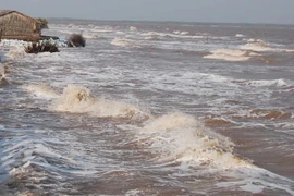 Ảnh minh họa. (Nguồn: TTXVN)