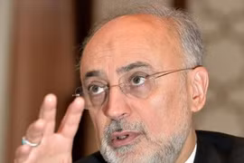 Giám đốc Tổ chức Năng lượng Nguyên tử Iran Ali Akbar Salehi. (Nguồn: Kyodo/TTXVN)