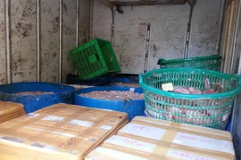 Một lô hàng nội tạng động vật bốc mùi hôi thối bị lực lượng chức năng bắt giữ. (Ảnh: Doãn Tuấn/TTXVN)