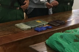 Tang vật ma túy tổng hợp. Ảnh minh họa. (Nguồn: TTXVN)