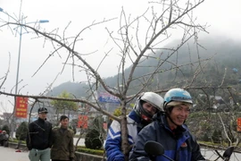 Các tỉnh Bắc Bộ sẽ có đợt rét đậm trong tuần sát Tết. (Ảnh: Nguyễn Công Hải/TTXVN)