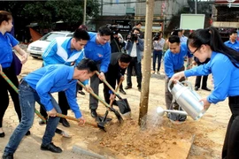 Các Đoàn viên Thanh niên tham gia Tết trồng cây. (Ảnh: Phạm Kiên/TTXVN)
