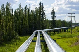 Ảnh minh họa. (Nguồn: business.financialpost.com)