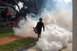 Phun thuốc khử trùng nhằm ngăn chặn sự lây lan của virus Zika tại Singapore ngày 31/8. (Nguồn: THX/TTXVN)