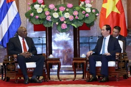 Chủ tịch nước Trần Đại Quang tiếp Phó Chủ tịch Hội đồng nhà nước Cuba Salvador Valdés Mesa. (Ảnh: Doãn Tấn/TTXVN) 