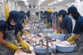 Ảnh chỉ có tính minh họa. (Nguồn: TTXVN)