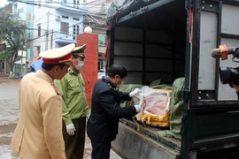 Ảnh minh họa. (Ảnh: Việt Hùng/TXVN)