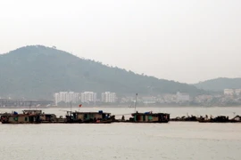 Các tàu hút cát trái phép hoạt động trong vùng đệm di sản Vịnh Hạ Long. (Ảnh: Nguyễn Hoàng/TTXVN)