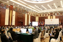 Toàn cảnh Hội nghị tham vấn Bộ trưởng Kinh tế ASEAN-Ấn Độ. (Ảnh: Phạm Kiên/TTXVN)