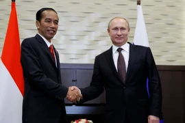 Tổng thống Nga Vladimir Putin (phải) và người đồng cấp Indonesia Joko Widodo trong cuộc gặp ở Sochi (Nga) ngày 18/5. (Nguồn: EPA/TTXVN)