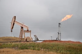 Máy bơm dầu ở Williston, Bắc Dakota, Mỹ ngày 6/9. (Nguồn: AFP/TTXVN)