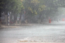 Ảnh minh họa. (Nguồn: TTXVN)