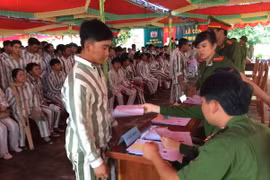 (Ảnh: Hoài Nam/TTXVN)